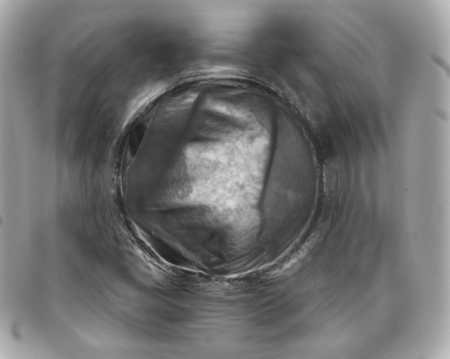 X0000096221405200802011332