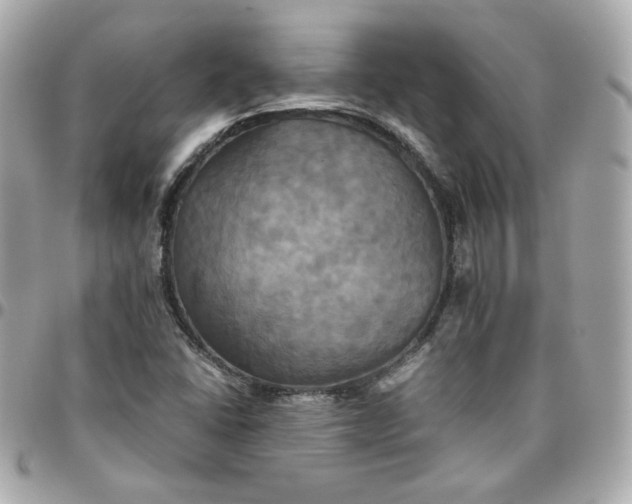 X0000096221406200802011333