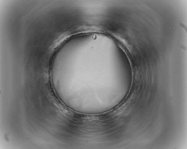 X0000096221407200802011333