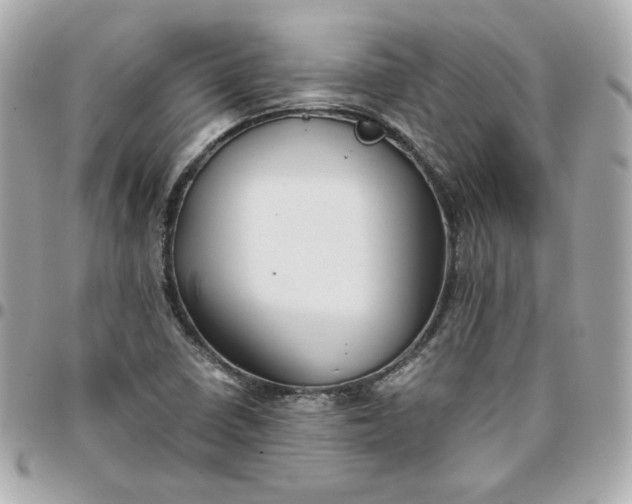 X0000096221410200802011333