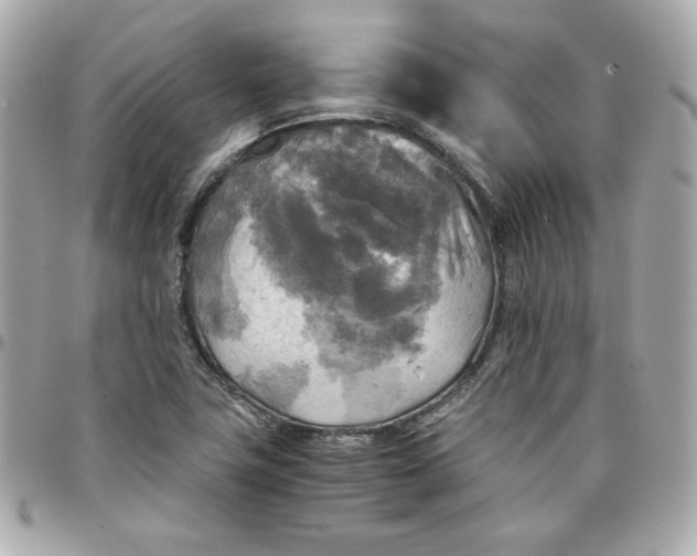 X0000096221411200802011333