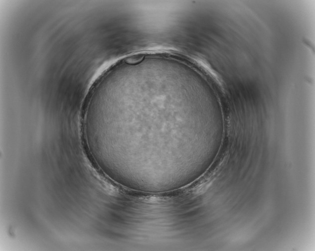 X0000096221412200802011333