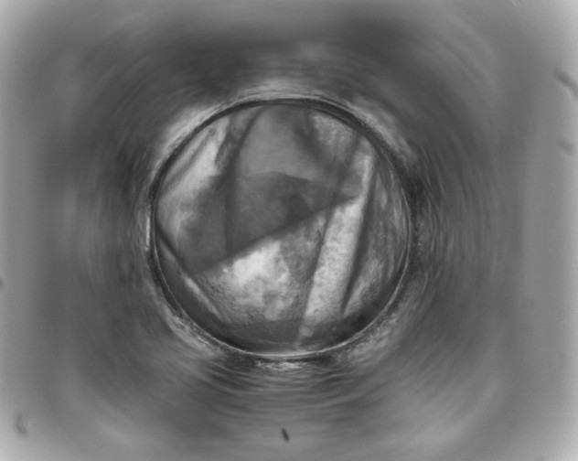 X0000096221413200802011333