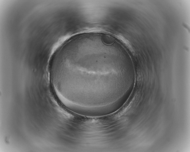 X0000096221414200802011333