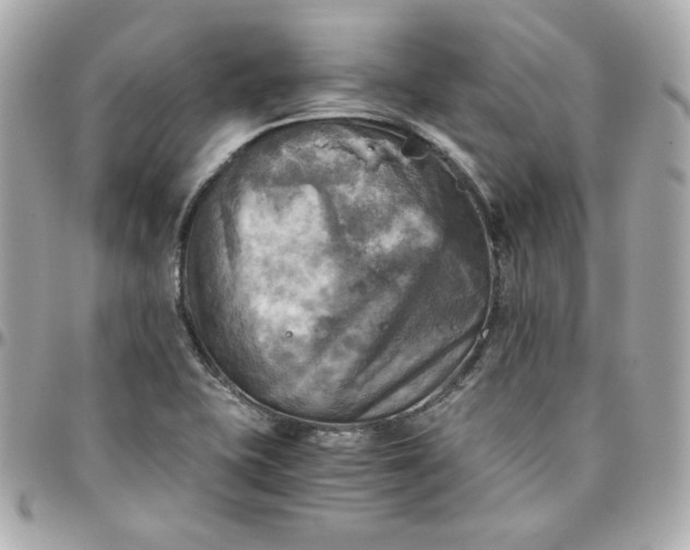 X0000096221415200802011333