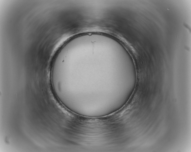 X0000096221416200802011333