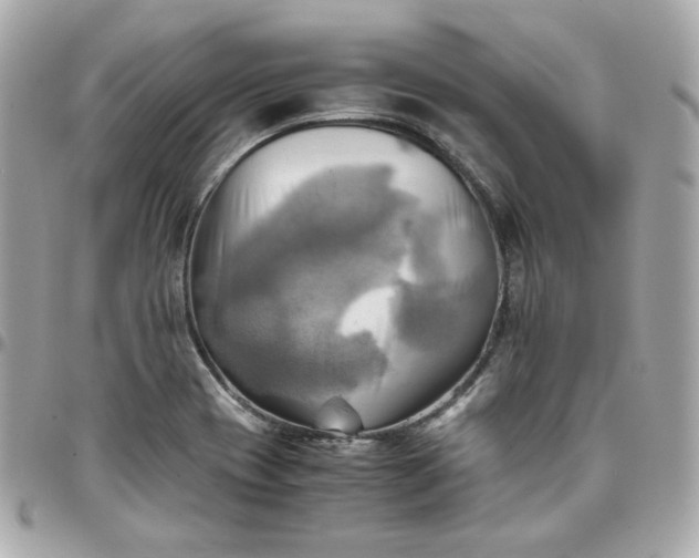 X0000096221417200802011333