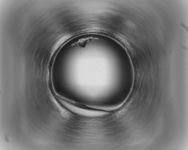 X0000096221418200802011333