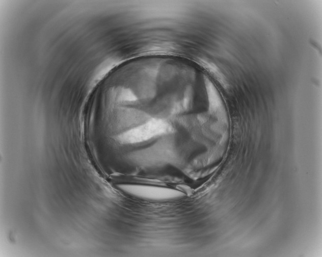 X0000096221419200802011333