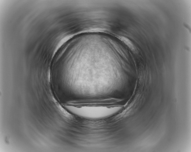 X0000096221420200802011333