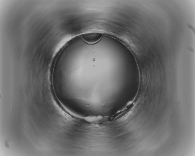 X0000096221422200802011333