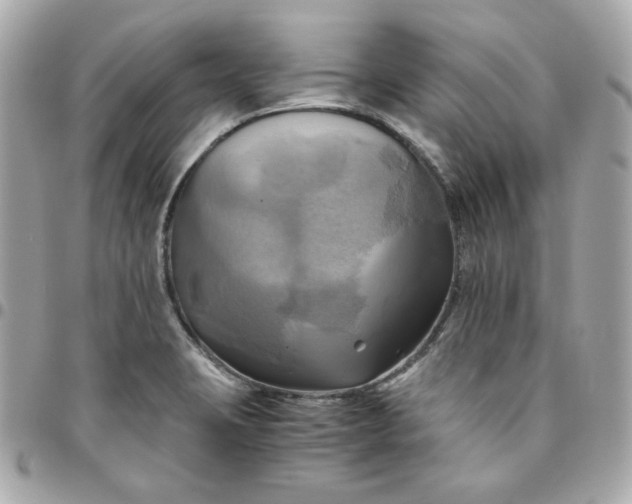 X0000096221423200802011333