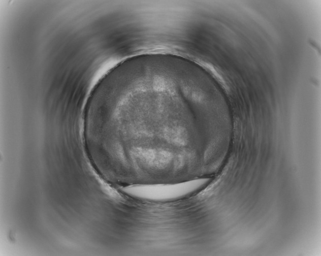 X0000096221424200802011333