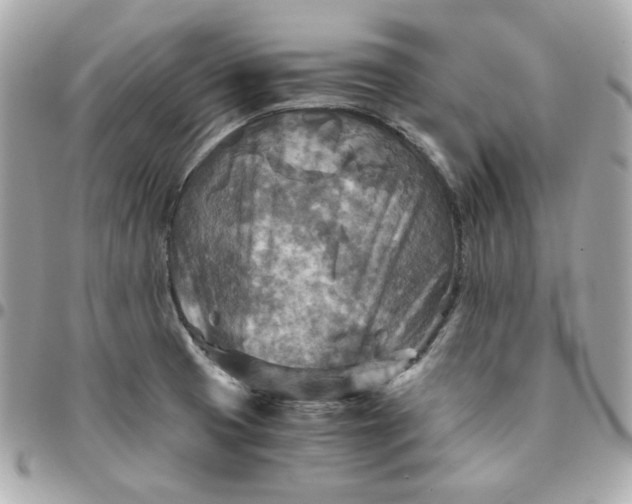 X0000096221425200802011333