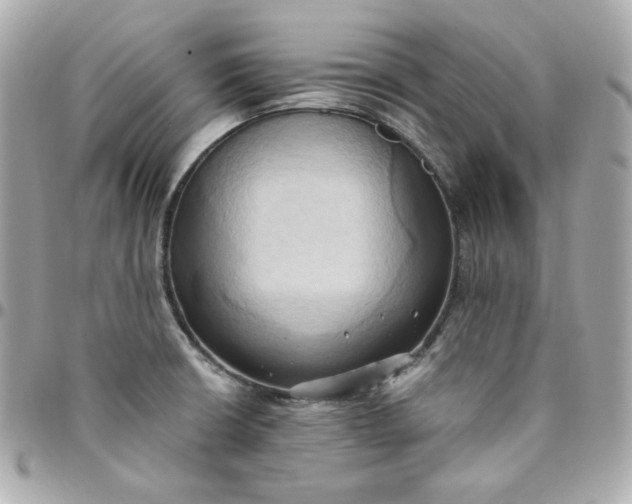 X0000096221426200802011333