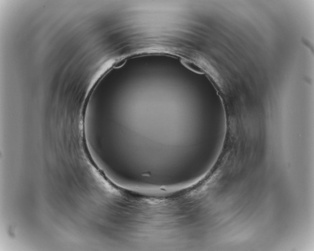 X0000096221428200802011333