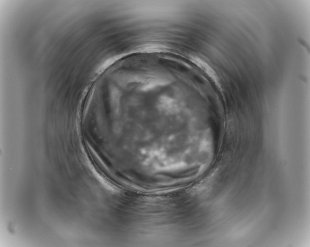 X0000096221429200802011333