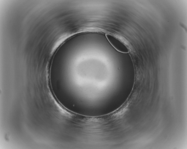 X0000096221430200802011333