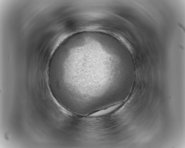 X0000096221432200802011333