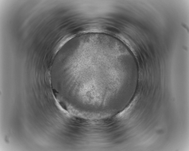 X0000096221433200802011333