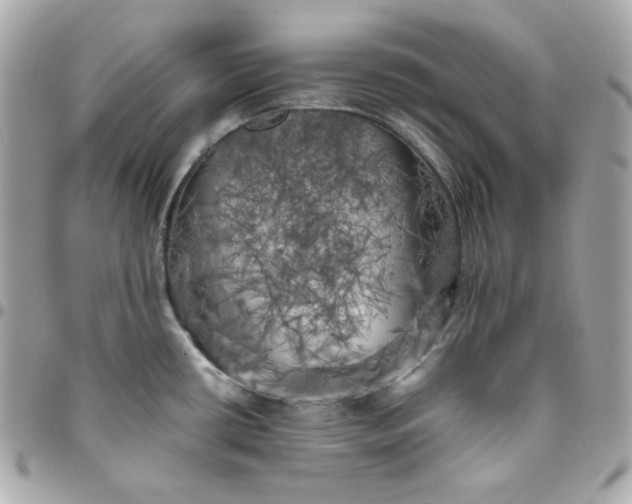 X0000096221434200802011333