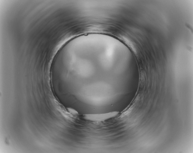 X0000096221435200802011333