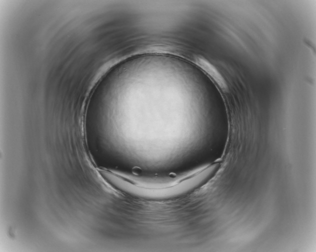 X0000096221436200802011333