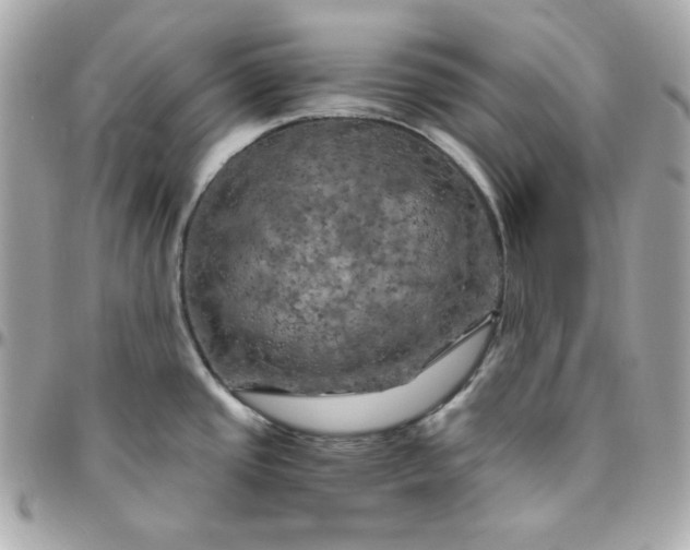 X0000096221437200802011333