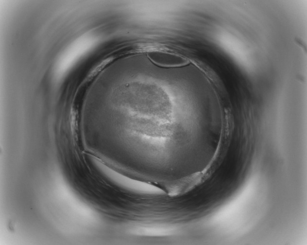 X0000096221438200802011333