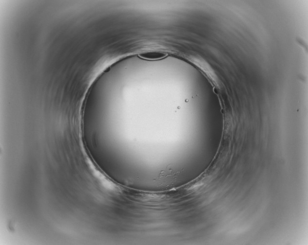 X0000096221439200802011333