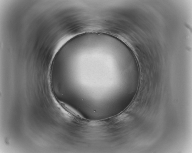 X0000096221440200802011333