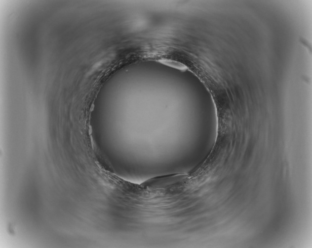 X0000096221441200802011332