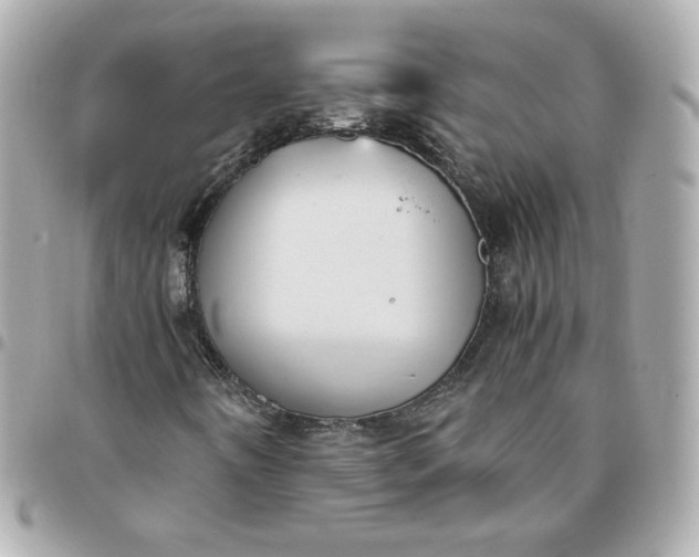 X0000096221442200802011332