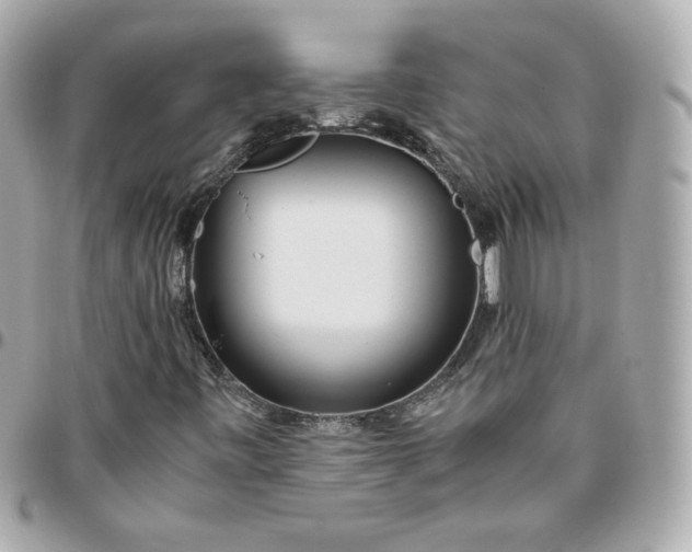 X0000096221443200802011332