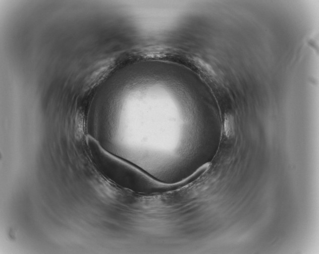 X0000096221444200802011332