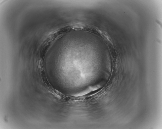 X0000096221445200802011332