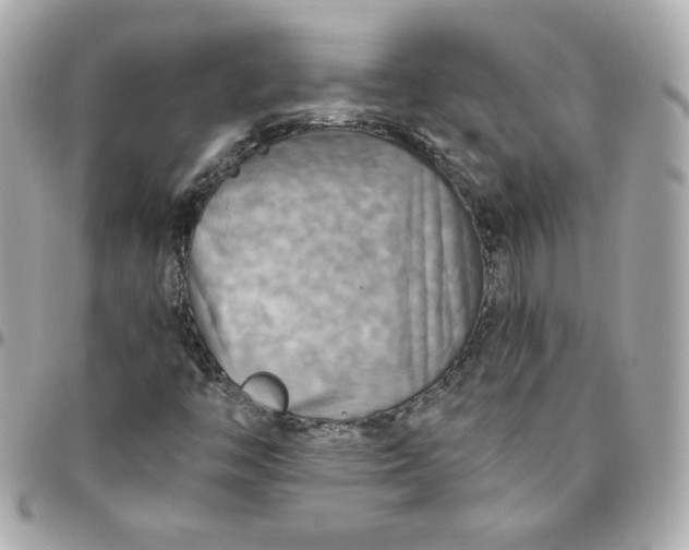 X0000096221446200802011332