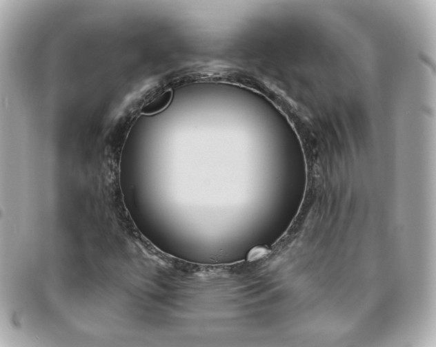 X0000096221447200802011332