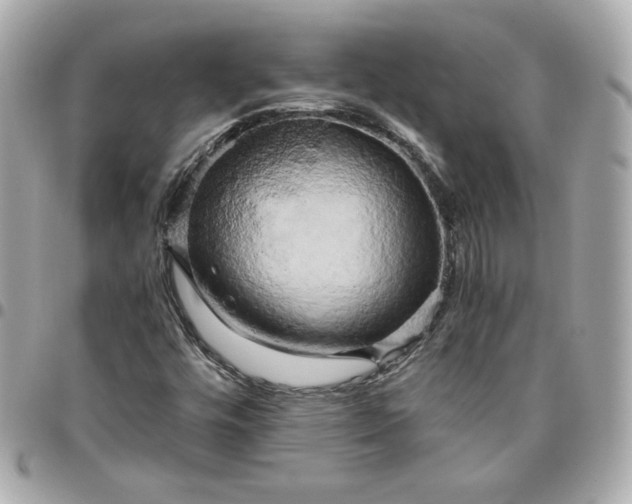 X0000096221448200802011332