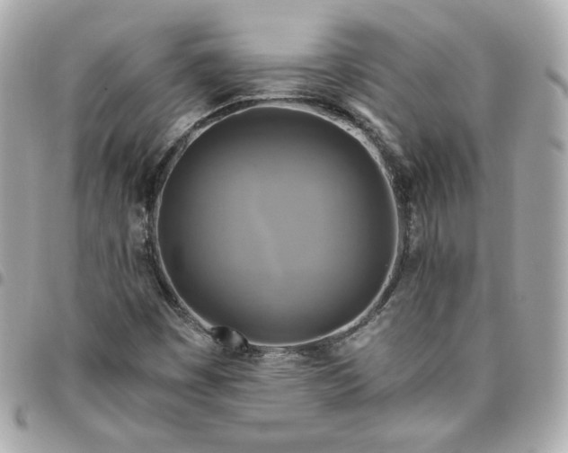 X0000096221449200802011332