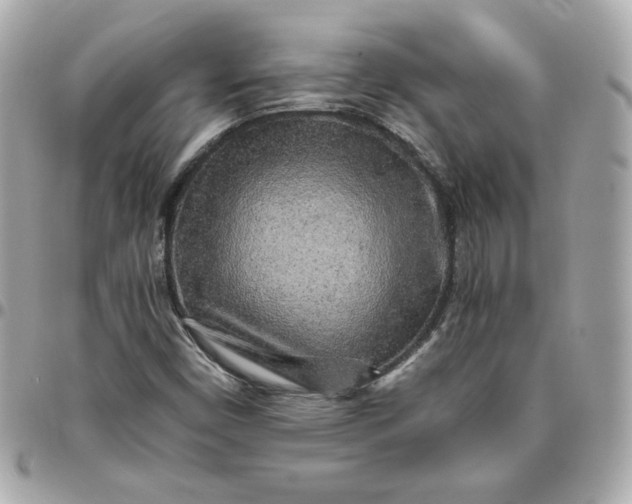 X0000096221450200802011332