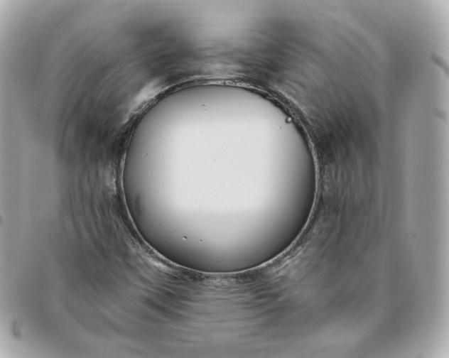 X0000096221451200802011332