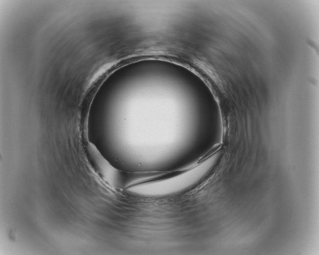 X0000096221452200802011332