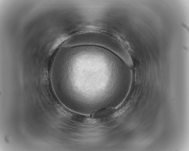 X0000096221453200802011332