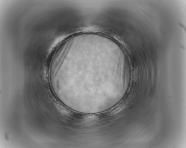 X0000096221454200802011332