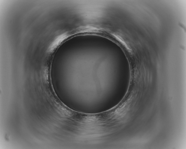 X0000096221455200802011332