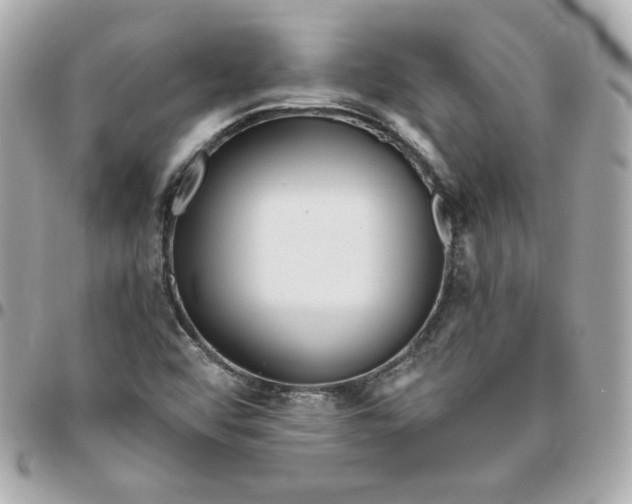 X0000096221456200802011332