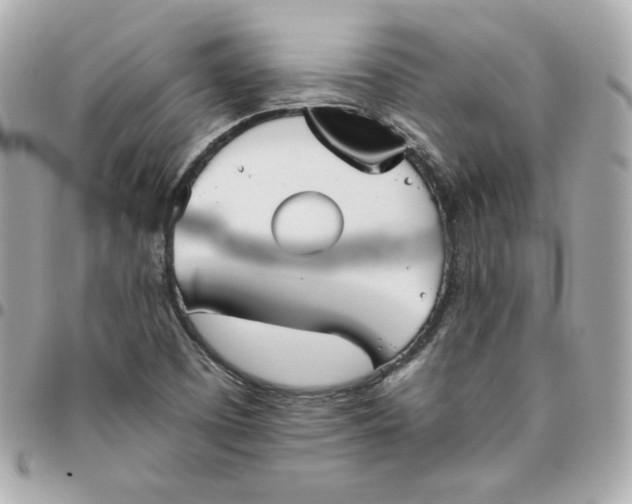 X0000096221457200802011332