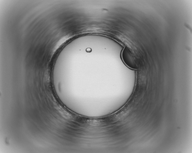 X0000096221458200802011332