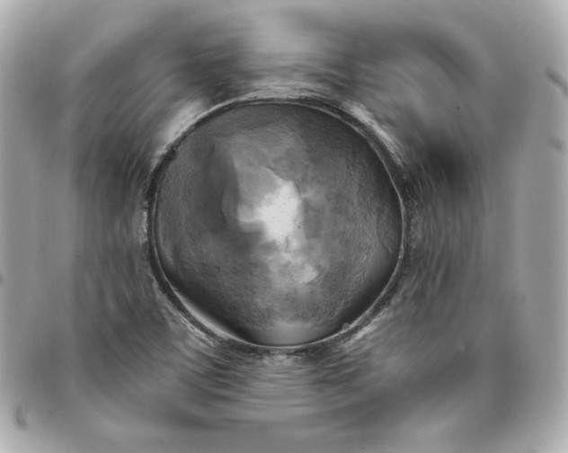 X0000096221459200802011332